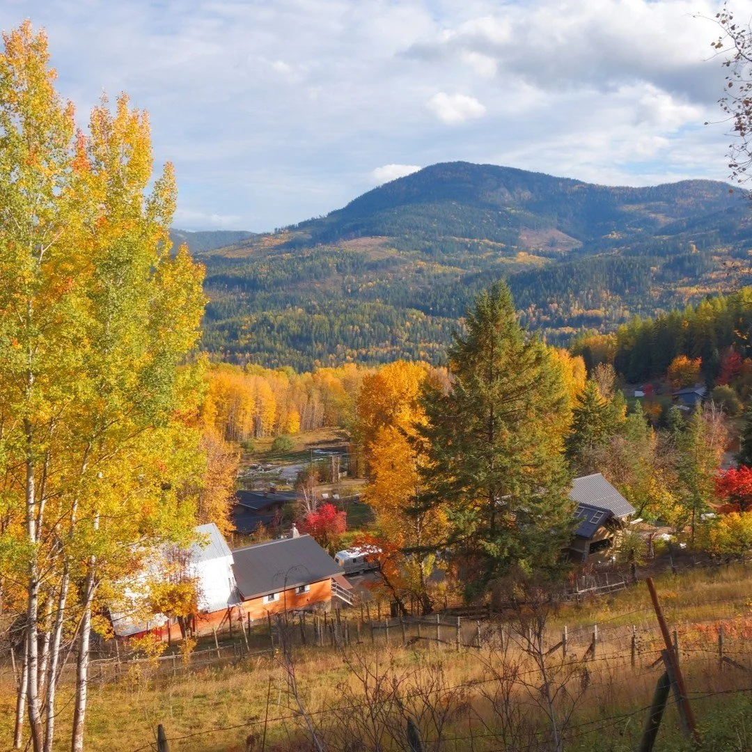 Autumn has arrived!

#HappyValley #FallColours #RosslandBC