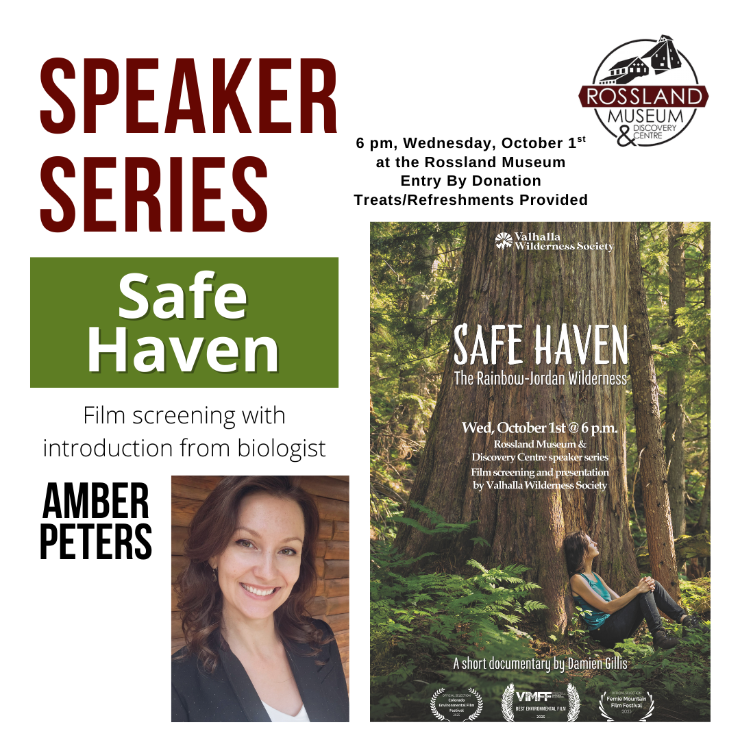 October Speaker Series: Safe Haven with Amber Peters