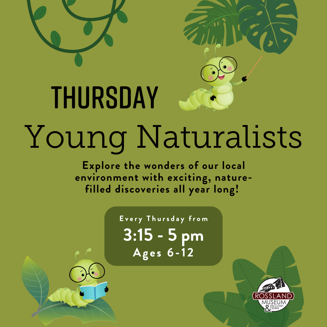 2025-fall-young-naturalists.png