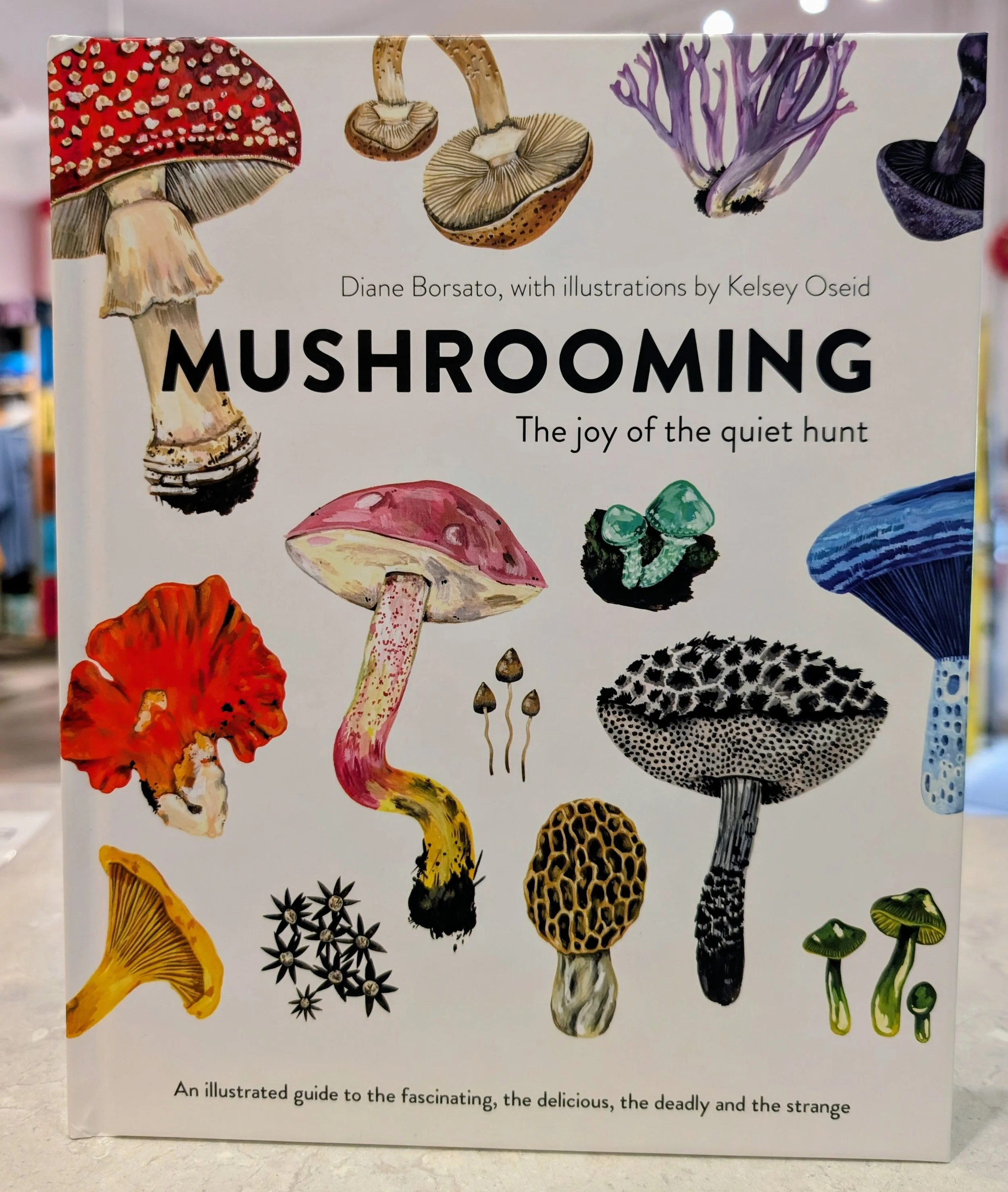 mushrooming-joy-of-quiet-hunt.jpg