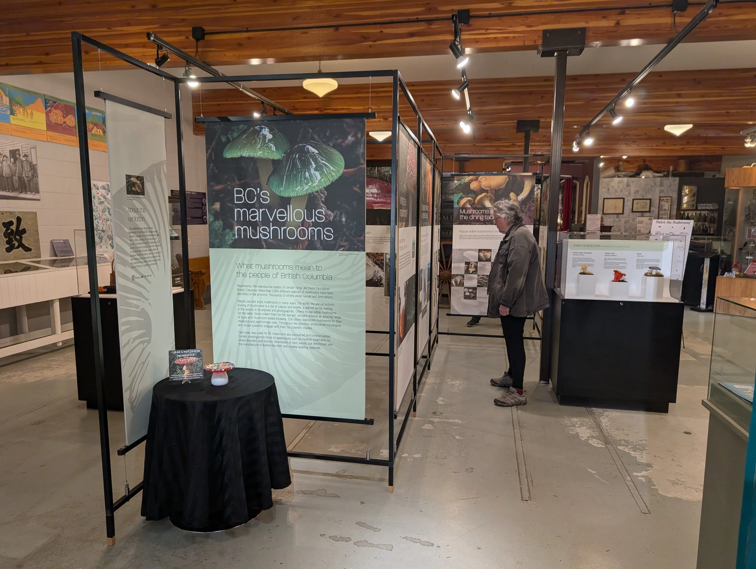 Travelling Exhibit: BC’s Marvellous Mushrooms
