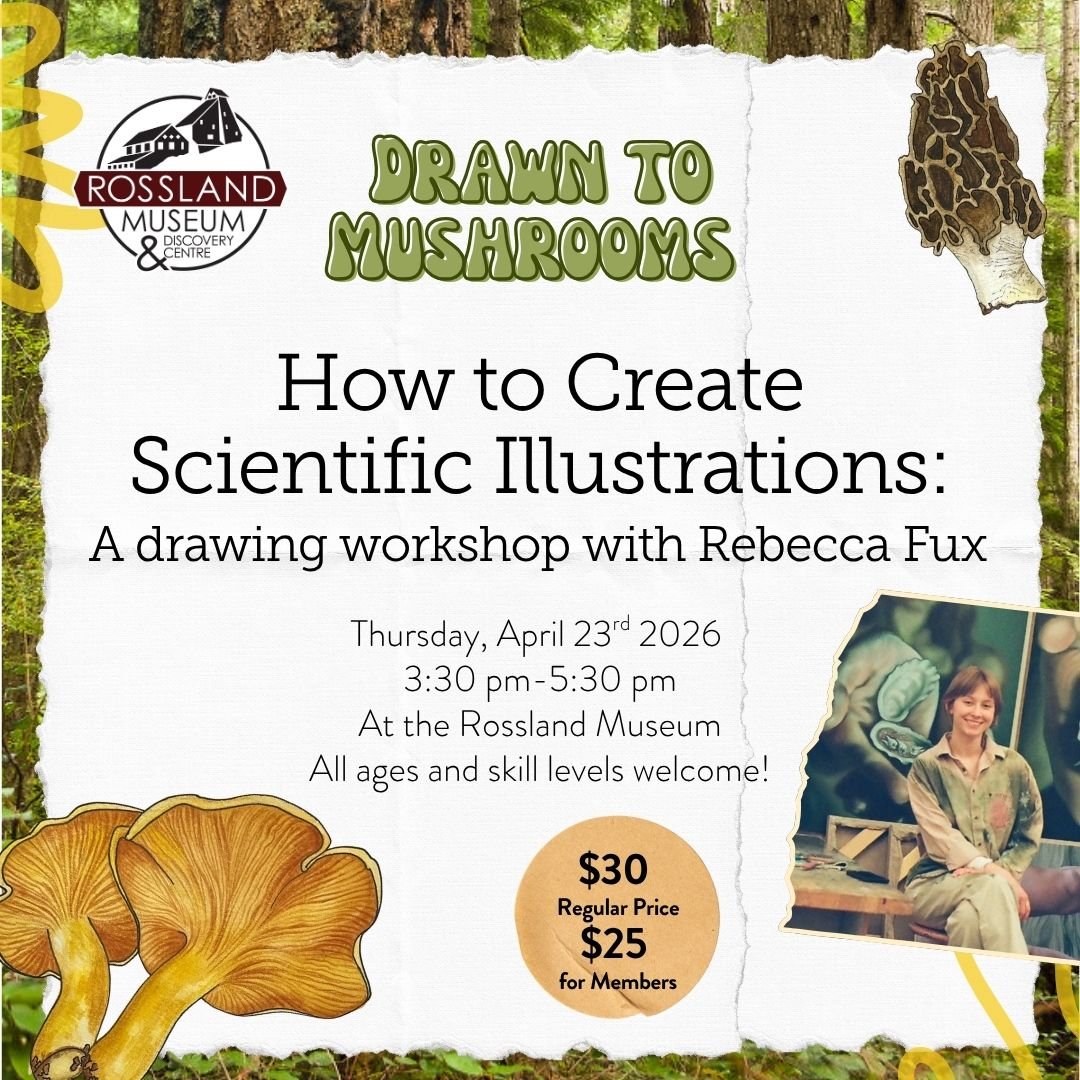 rebecca-fux-art-workshop-rossland-museum-scientific-illustrations-mushrooms.jpg