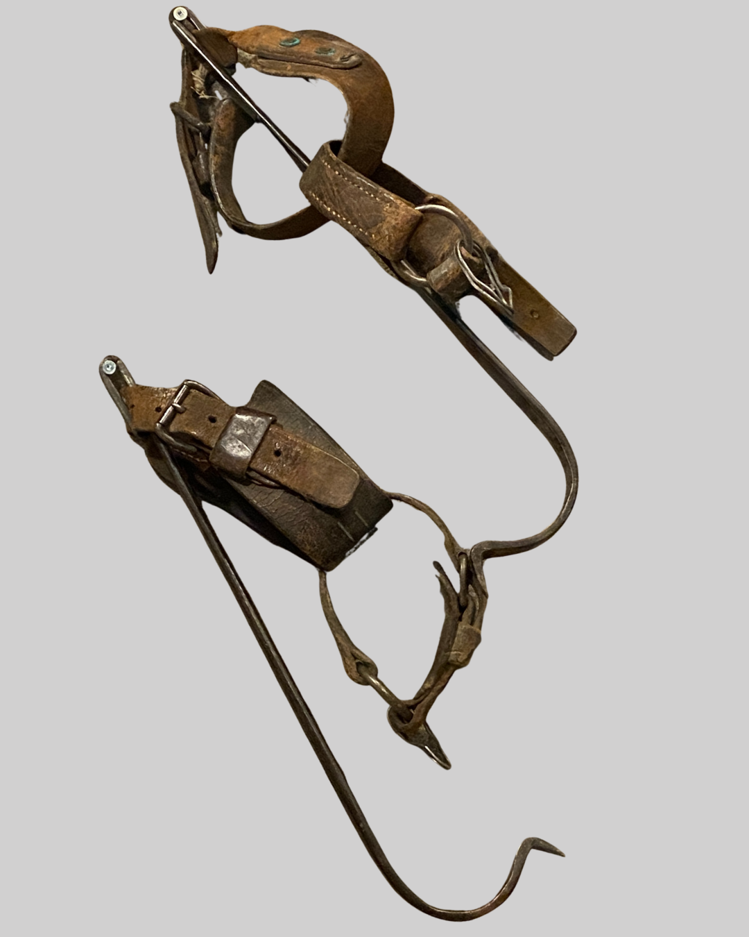 Climbing Spurs.png