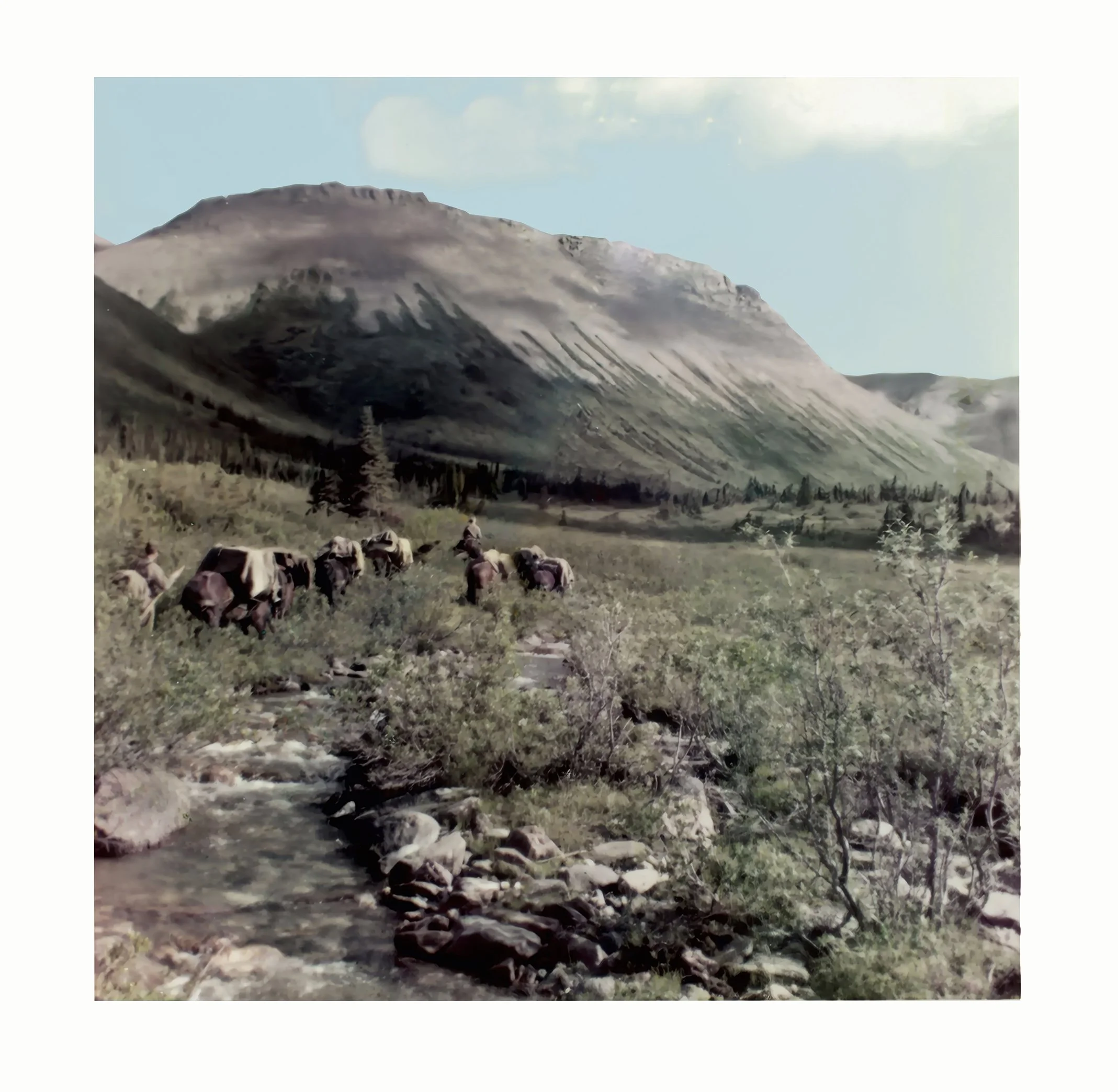 Richie Mann: Packing for the 1956 Yukon Geological Survey