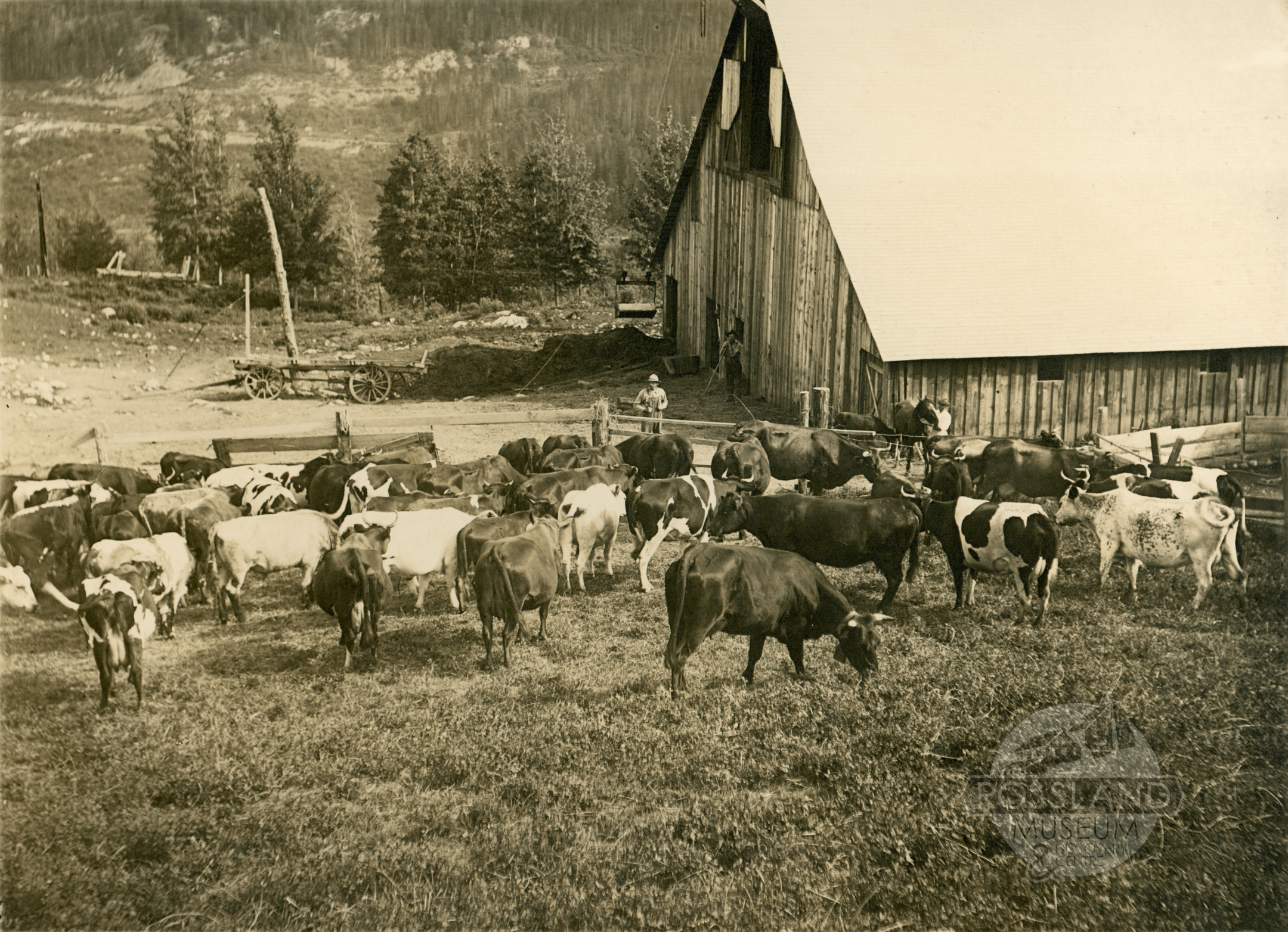 Rossland Recollections with Richie Mann — Rossland Museum & Discovery ...