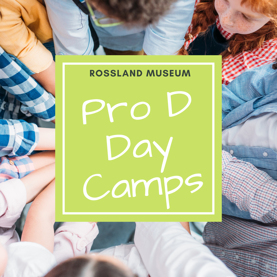 Pro D Day Camp