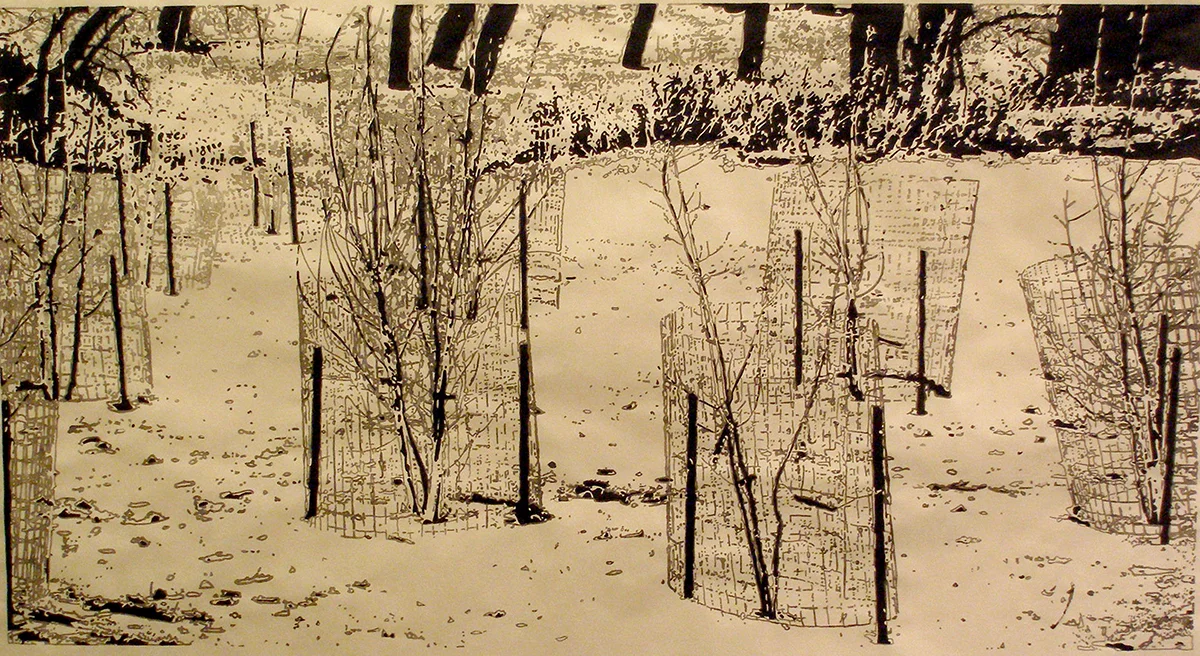 The Great Tree Project