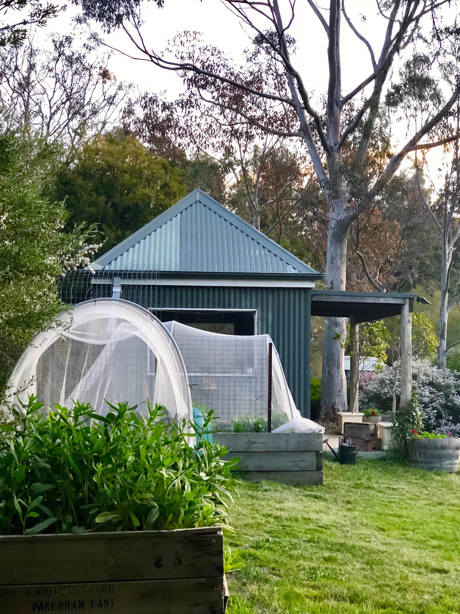 The beautiful studio where we recorded our interview, nestled beside the veggie patch.