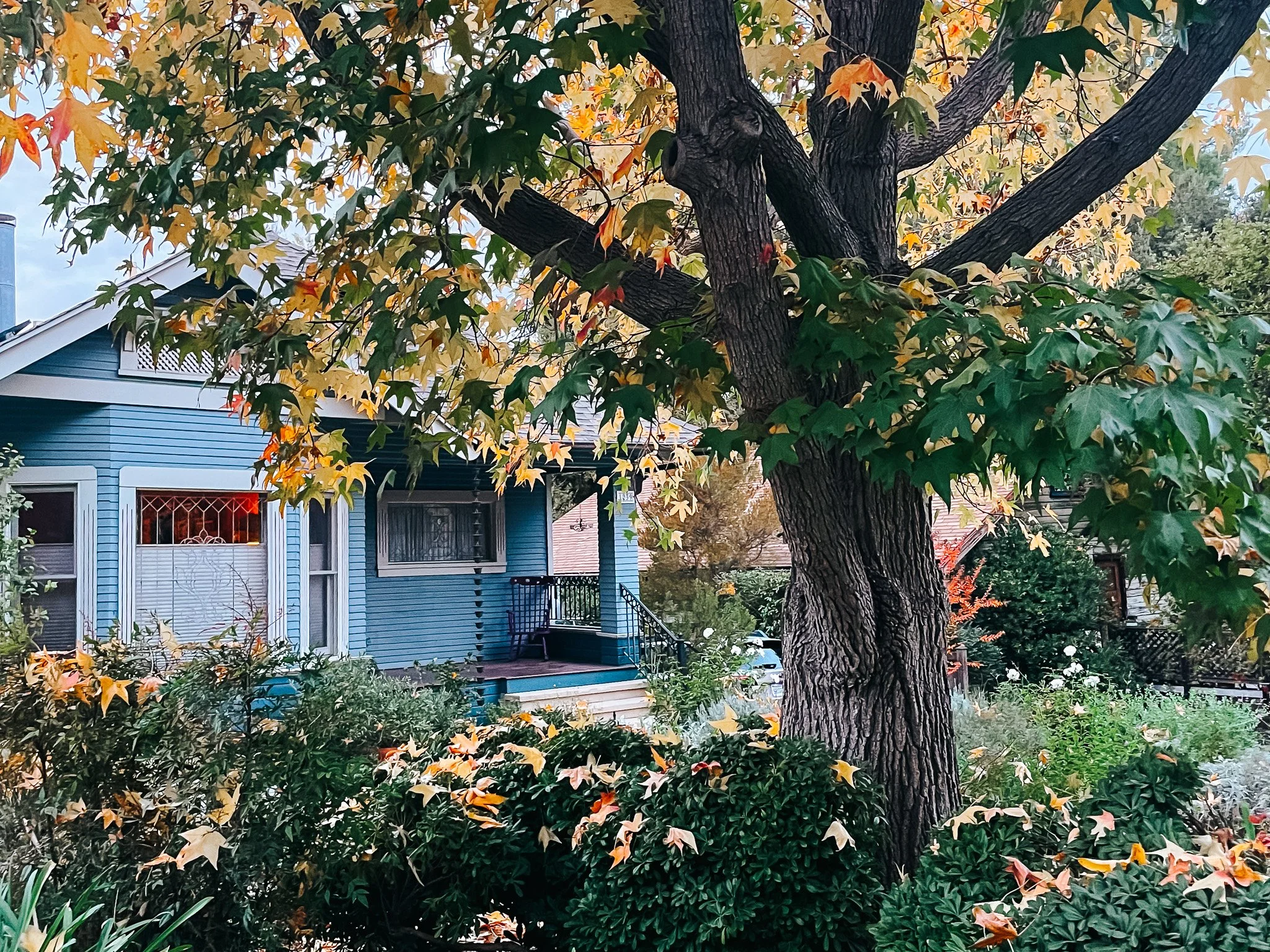 What Are the Most Common Inspection Issues in Pasadena Homes?