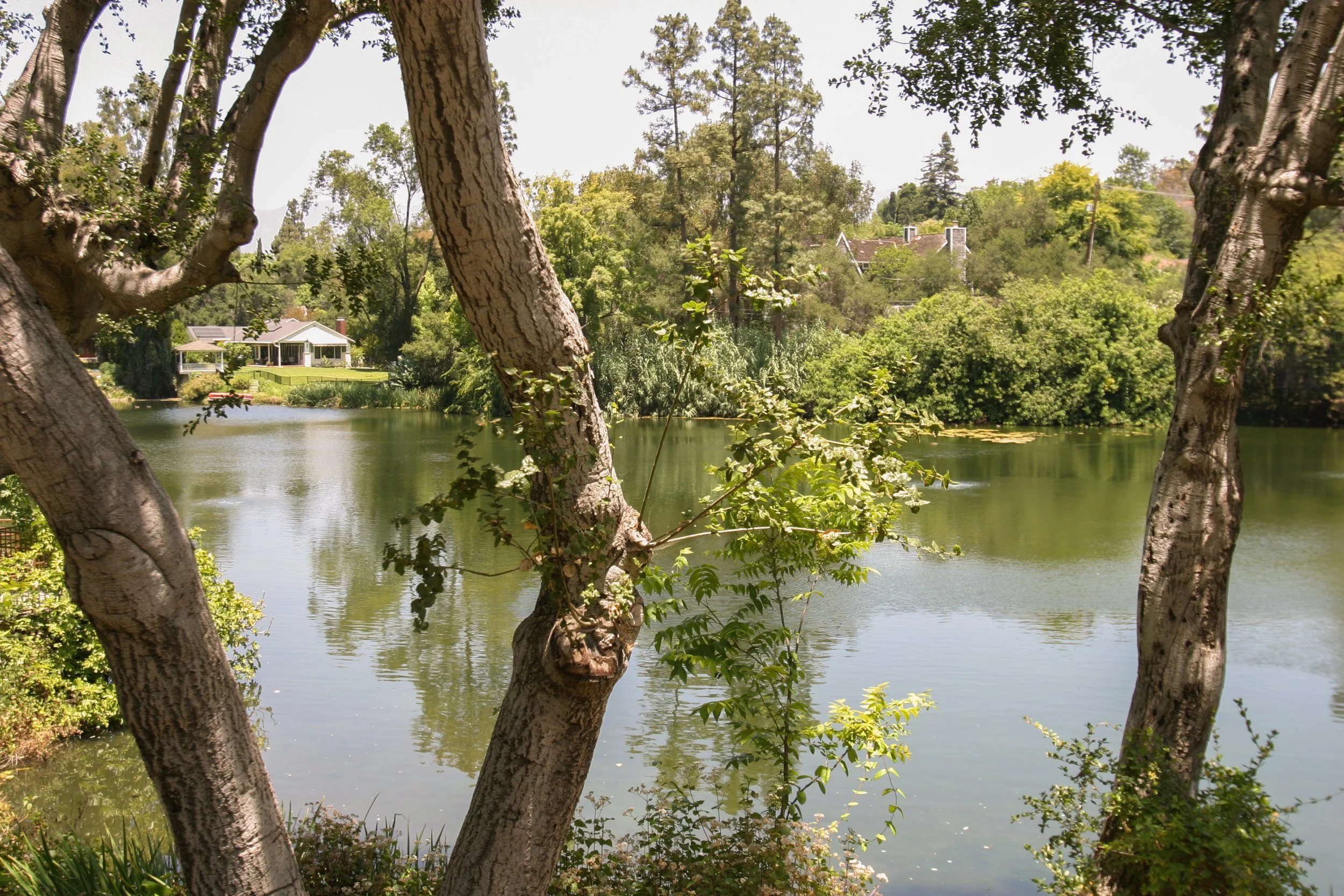 What Are Buyers in Pasadena Looking for in 2025?