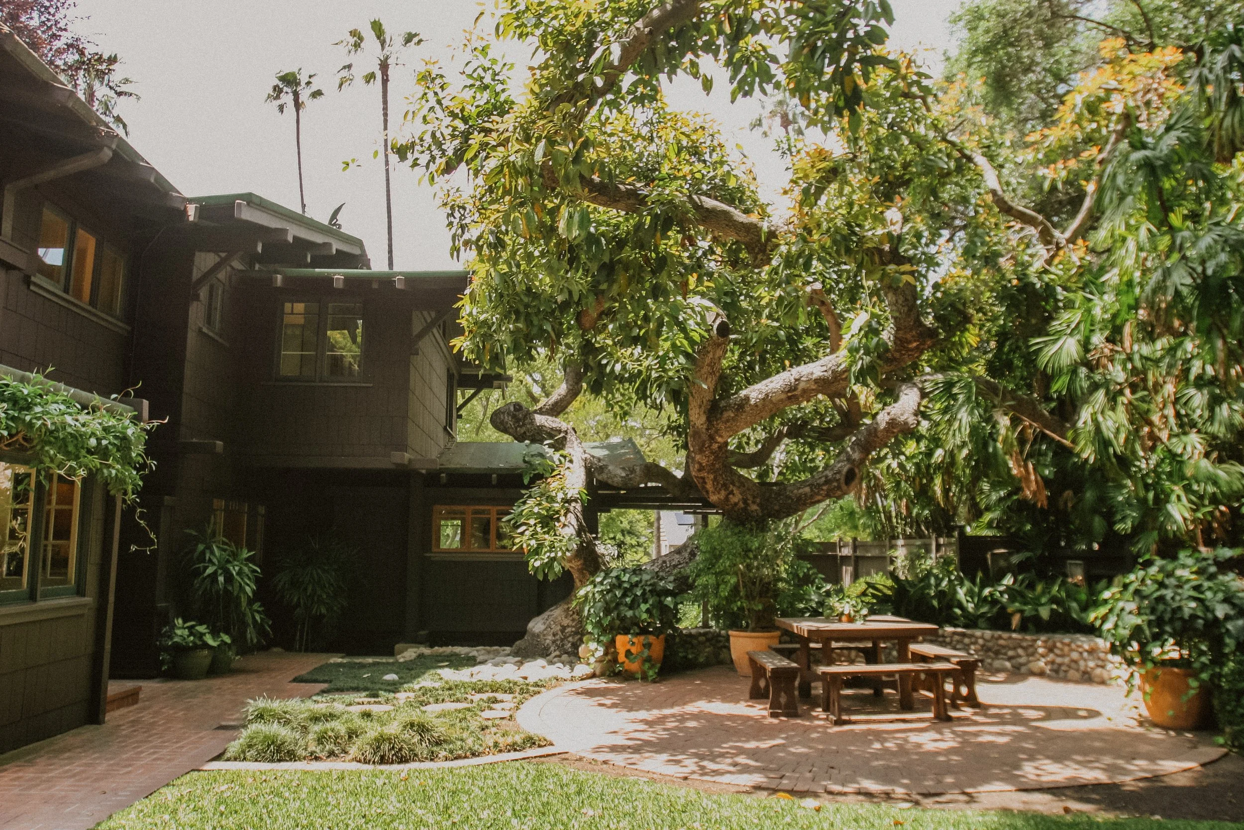 Rooted in Character: What Pasadena’s Oak Trees Can Teach Us About Buying and Selling Homes