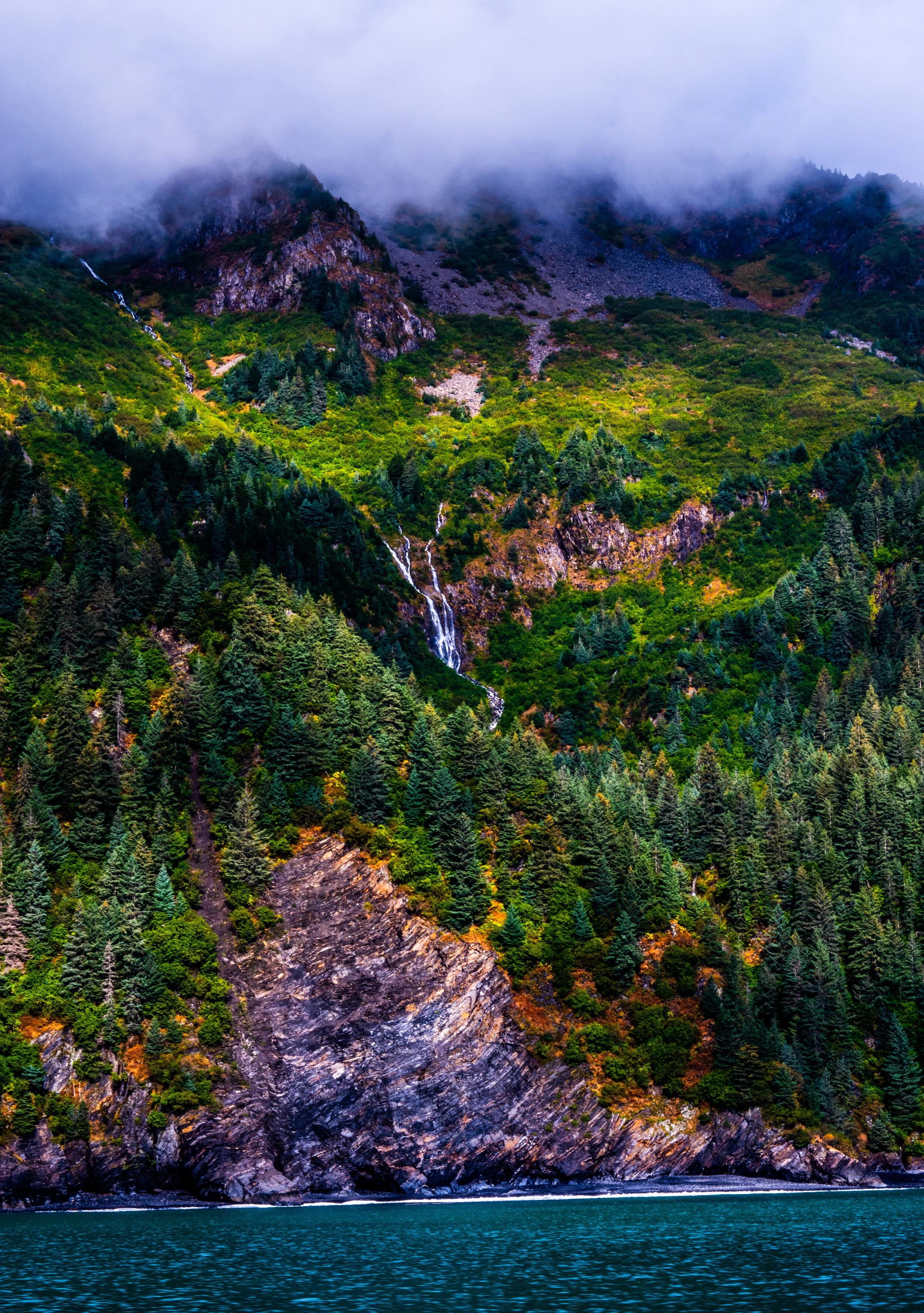 Kenai Fjords National Park Canvas