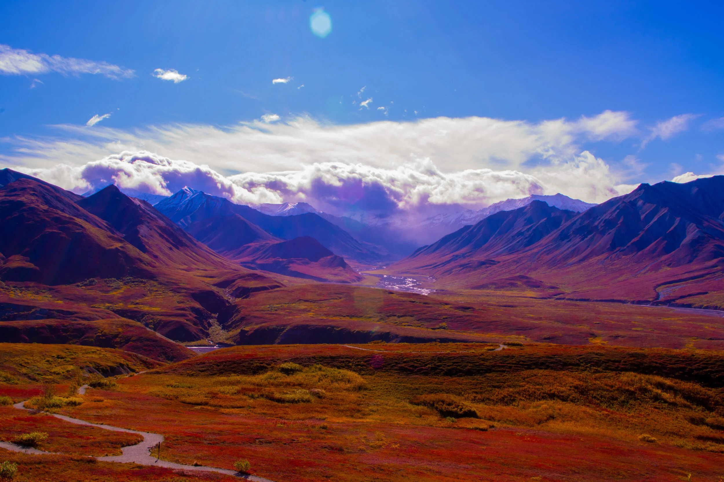 Denali National Park Canvas