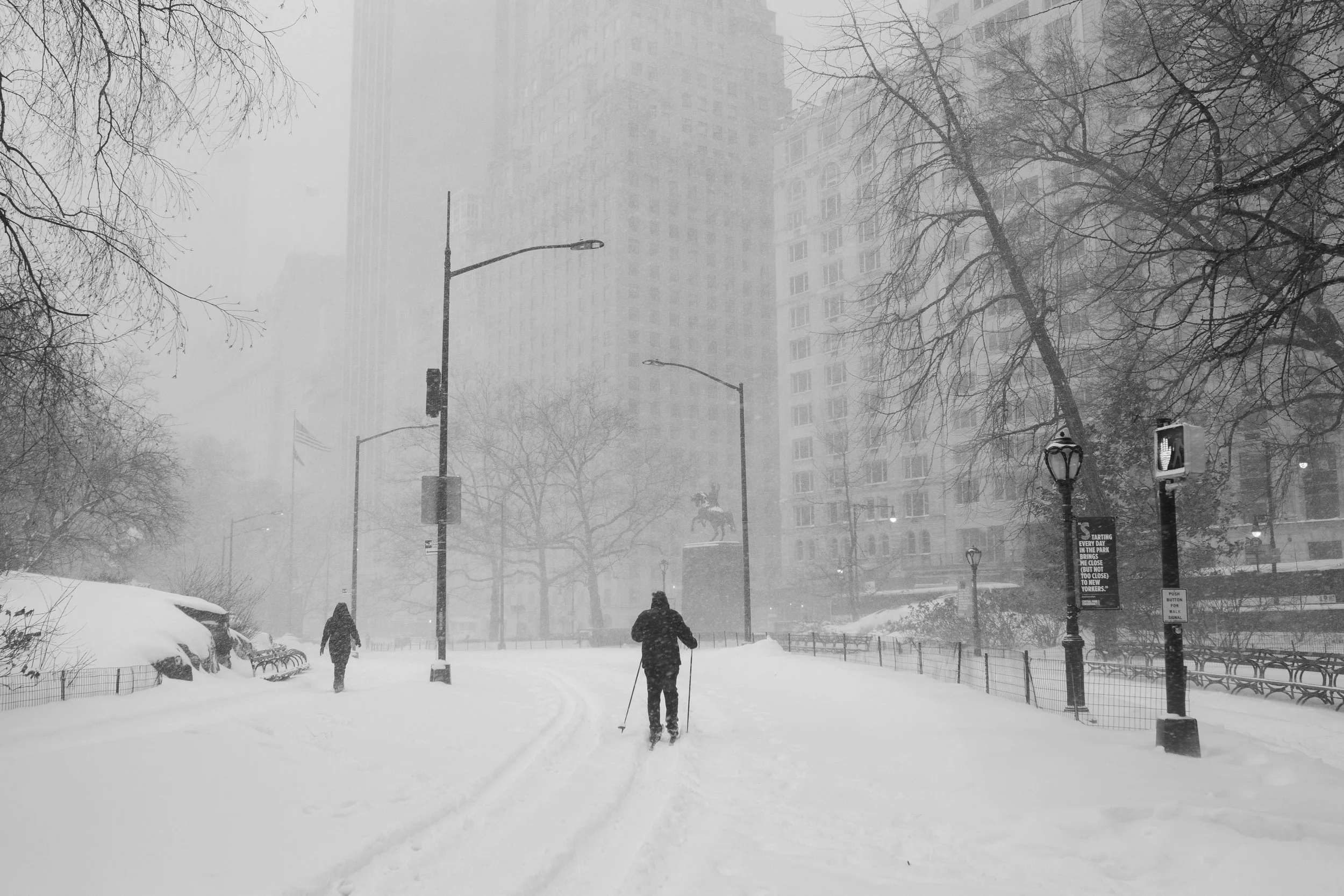 _MG_4581.jpg