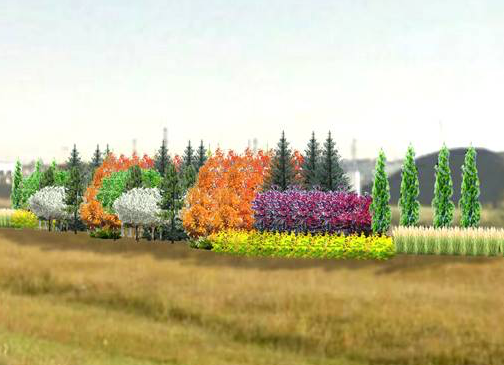 A view northbound of a proposed planting site east of the highway.