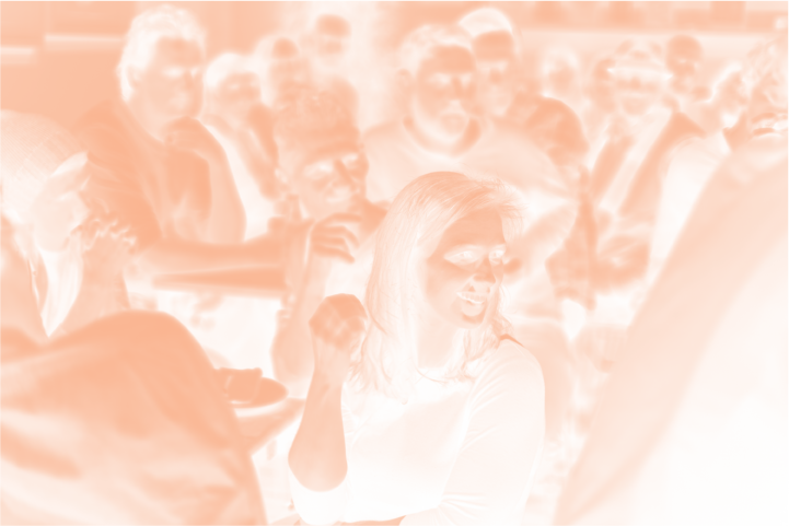 TLR_04.png