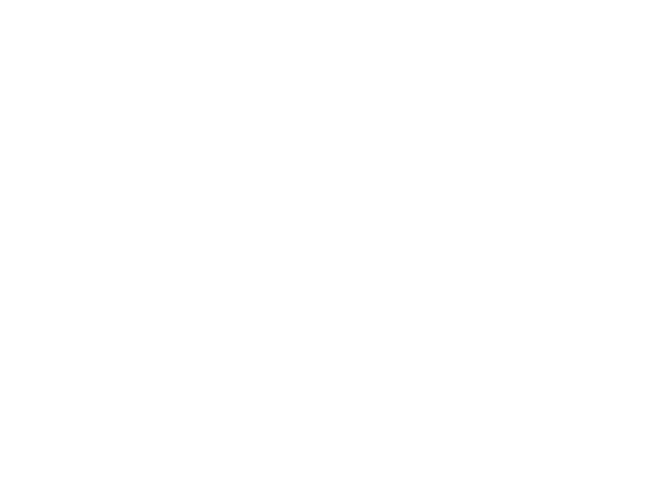 The Lever Room
