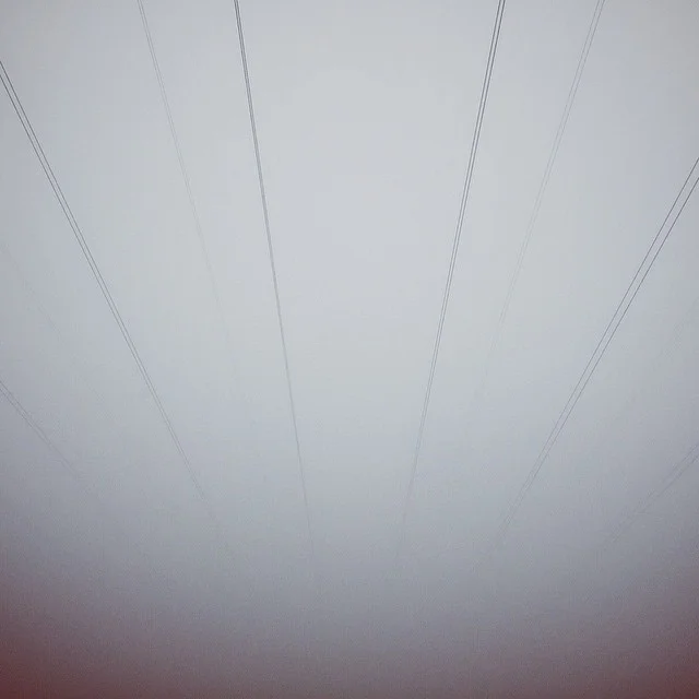 17822_10153183405966303_534627855705570011_n.jpg