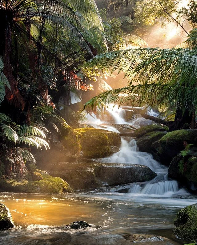 Without a doubt one of the prettiest waterfalls I&rsquo;ve visited in @australia !! Had a great time shooting here with @elleidau, @nigel_hooley and @craig_richards_photography 
Happy Waterfall Wednesday everyone 😊😊