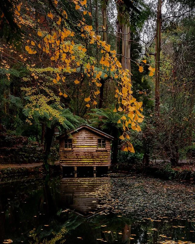 A different composition and edit from Alfred Nicholas Gardens a couple of weekends ago. 
Who is out shooting this coming weekend?