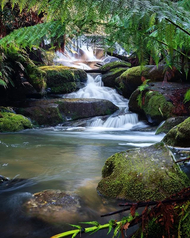 Happy waterfall Wednesday people! This is another from our trip to the ocean road a couple of weeks ago ☺️☺️