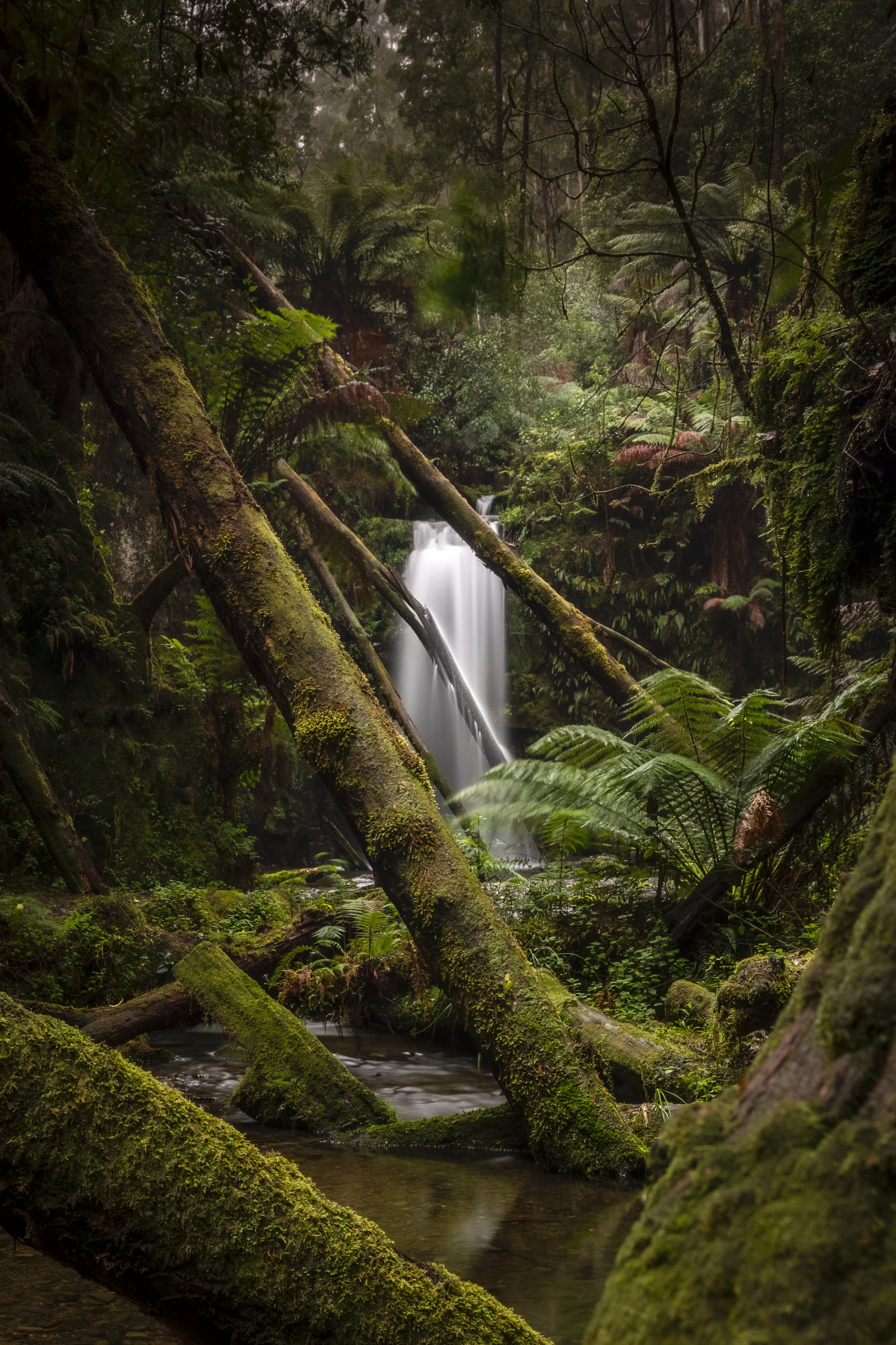 Otways waterfall
