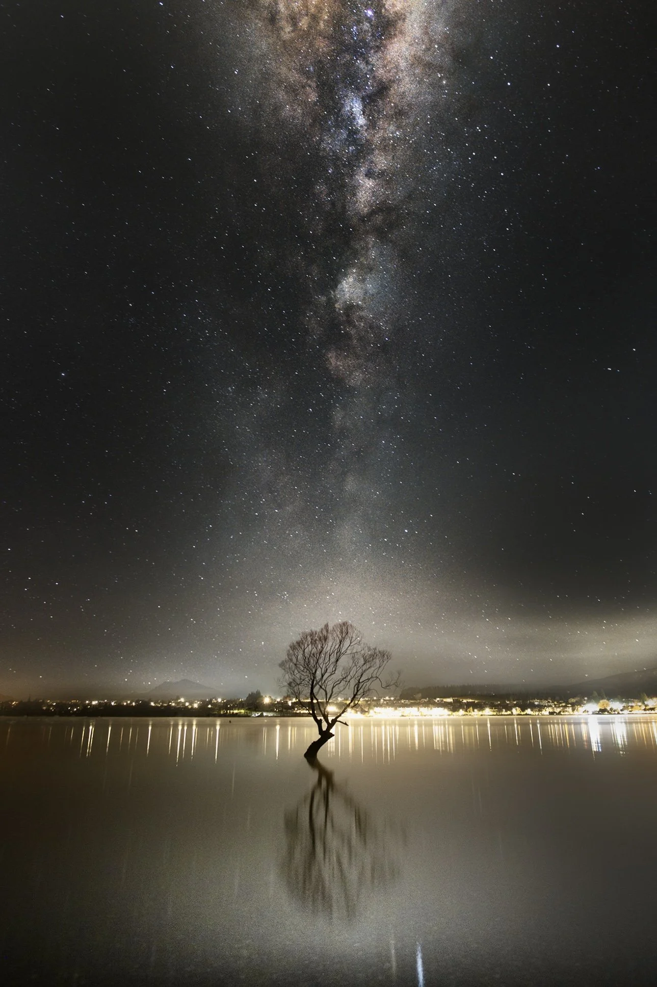 WanakaTree.jpg