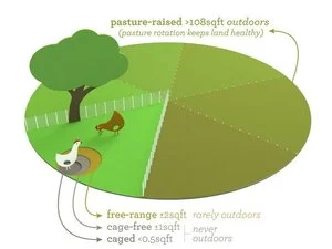 Free-range-diagram.jpg
