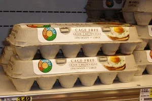 cage-free-eggs.jpg