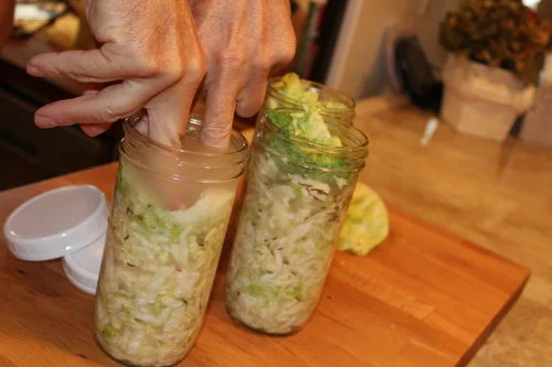 Canning Organic Sauerkraut
