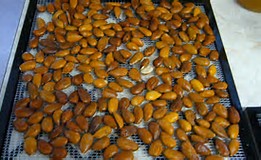 Lightly roasted nuts