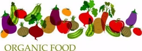organic%2Bfoods%2Bbanner.jpg