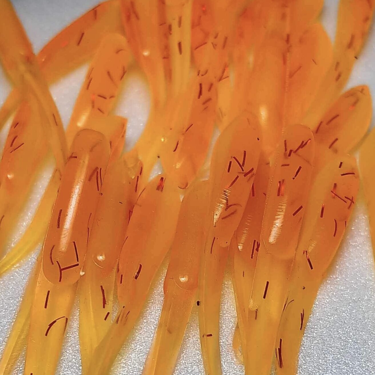 5CE5B684-9FDD-4D10-AFAE-000AF5801DE6