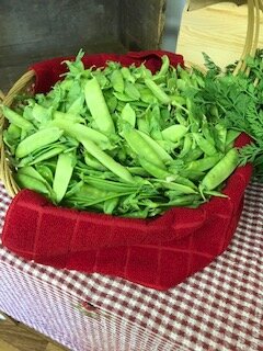 Mammoth Snow Peas