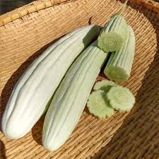 Armenian Cucumber