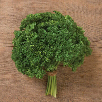 Parsley