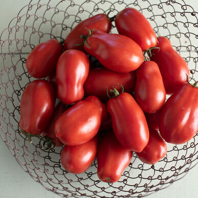 San Marzano Tomato