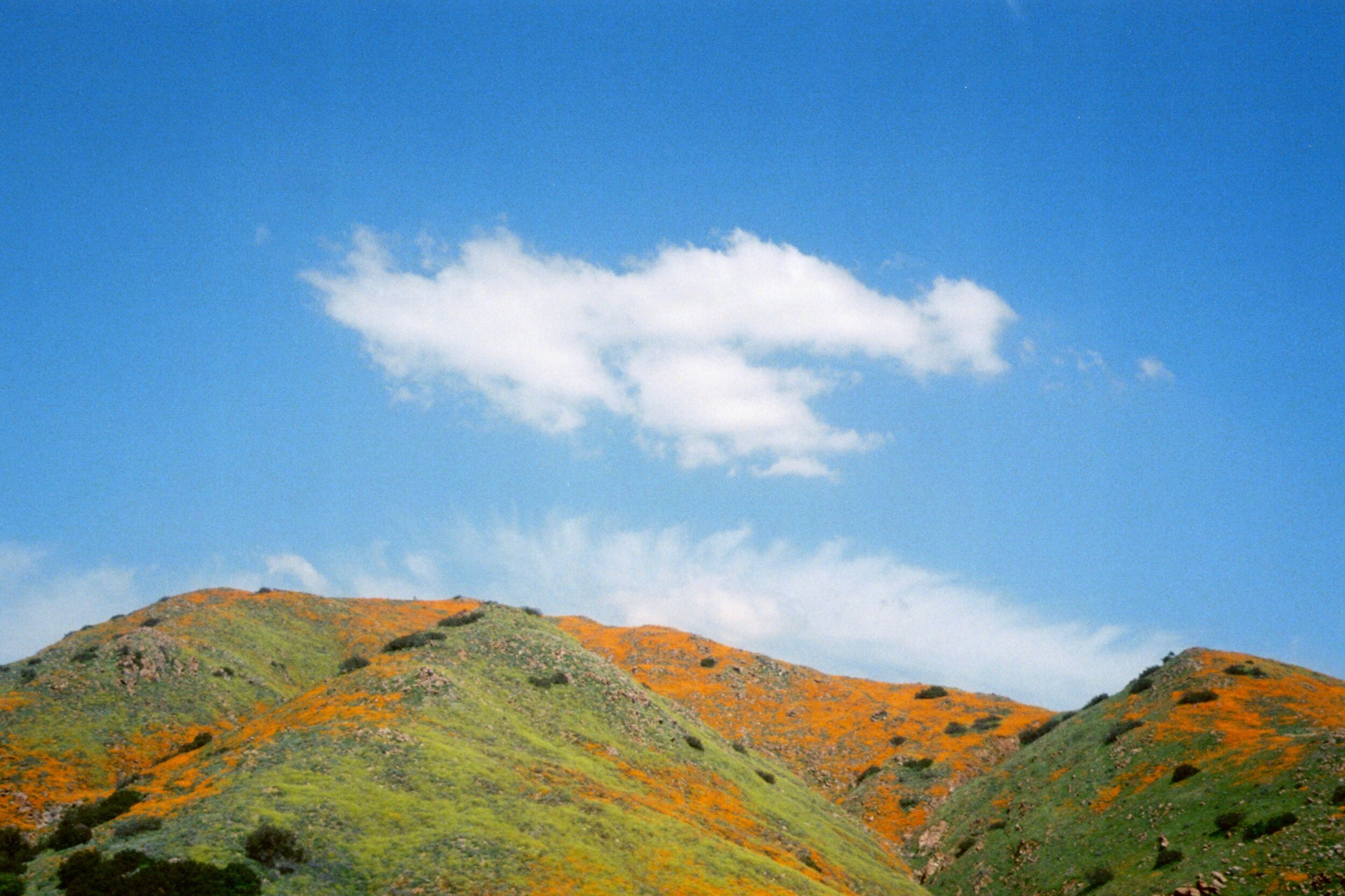 img047.jpeg