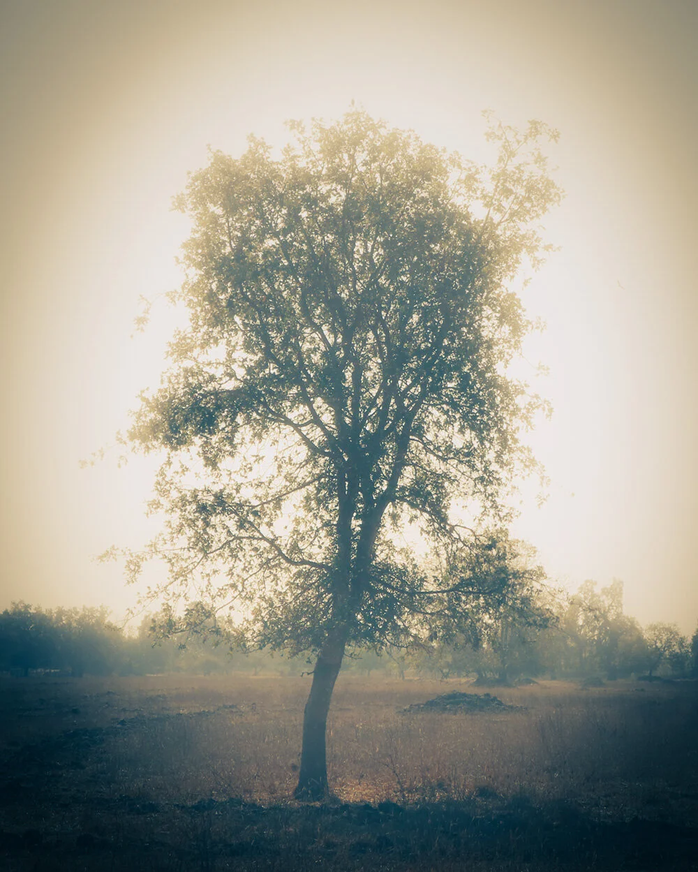 Days are shortening…