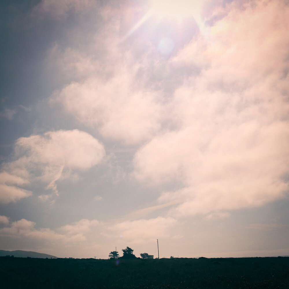 Solace at the Coast.