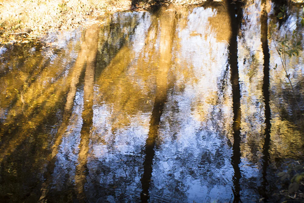 Golden hour reflections.