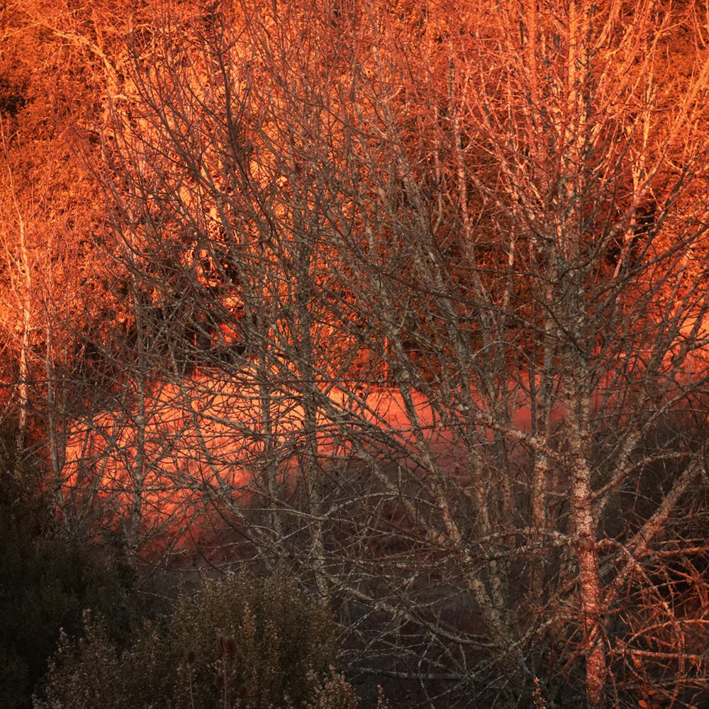 Afterglow in the canyon.