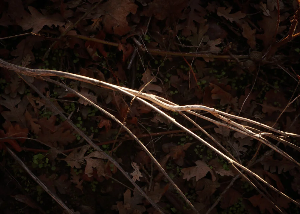 Darkness Into Light #5 — Sliver of Light