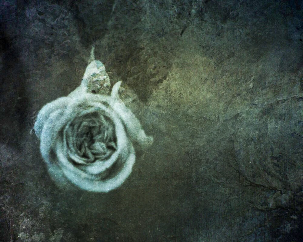 untitled-1.jpg