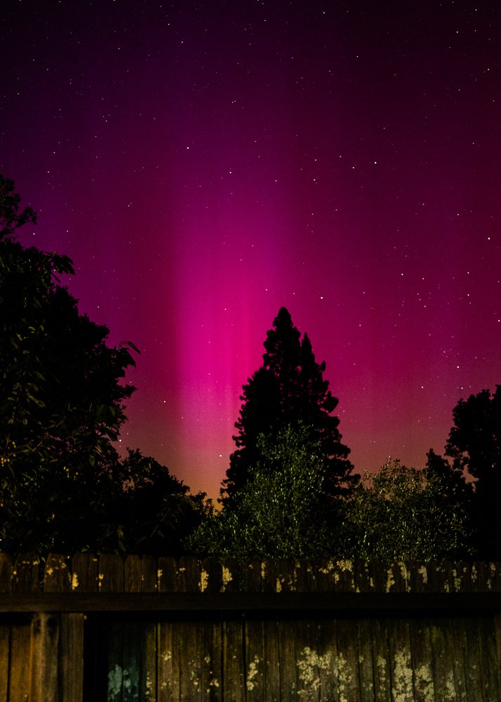 Looking north from my backyard this evening. I saw an aurora once as a child, have never forgotten it, and never thought I'd see it again.