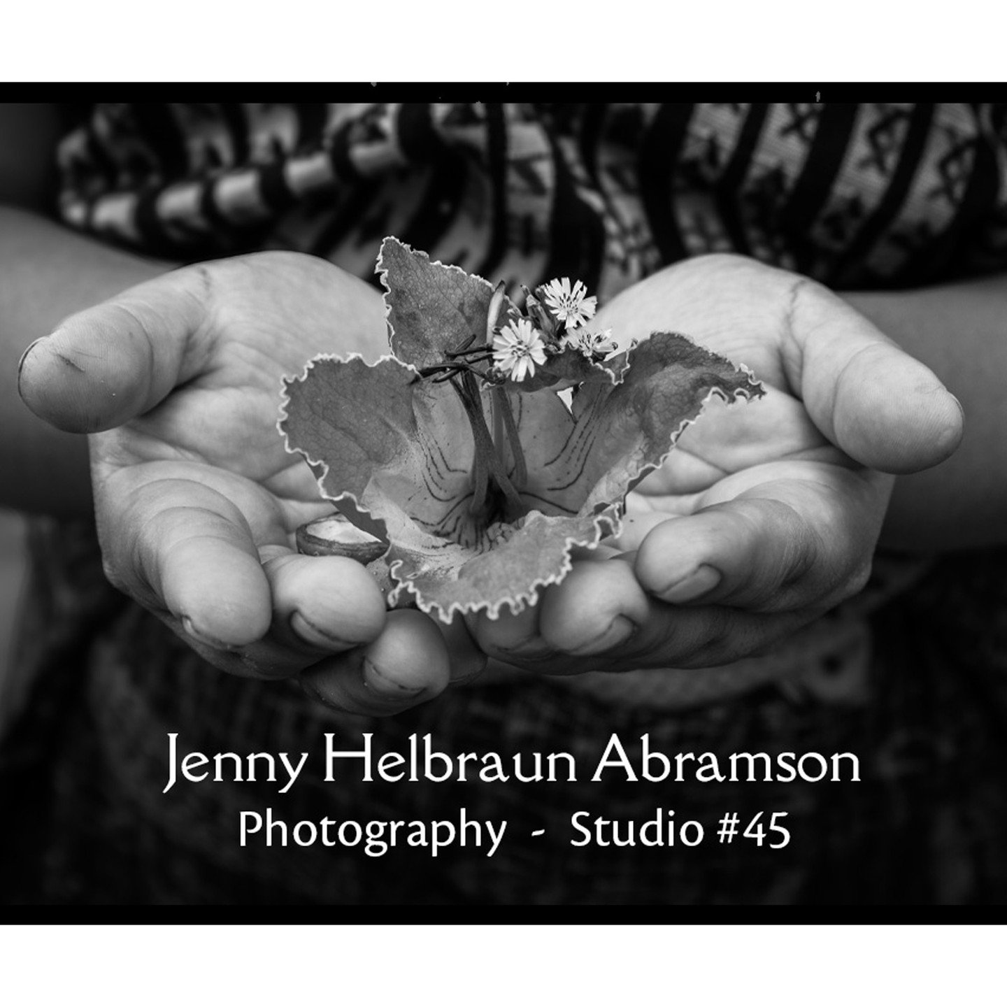 Mark your calendar! Art At The Source is just six weeks away, a great way to spend the first two weekends of June. 10am-5pm Saturday and Sunday, June 6-7 and 13-14.
It&rsquo;s my favorite time of the year &ndash;a chance to share my beautiful garden,