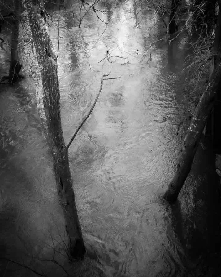 More good news: &ldquo;The Torrent&rdquo; is hanging at a lovely gem of an art center just over the mountain @mtownartcenter, as part of its new Water exhibition. Beautiful works and curation, wonderful discovery for me. Thursdays-Mondays 10:30-5 thr