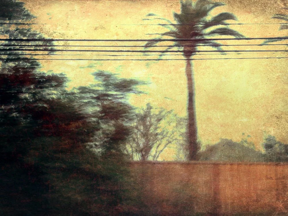 Good morning everyone, and Happy Fathers Day to all the dads! We've just opened the doors for the last day of @artatthesource Open Studios, Sunday June 15, from 10am till 5pm, Studio 104 A&amp;B at 3510 Frei Rd, Sebastopol. 
For me, one of the highli