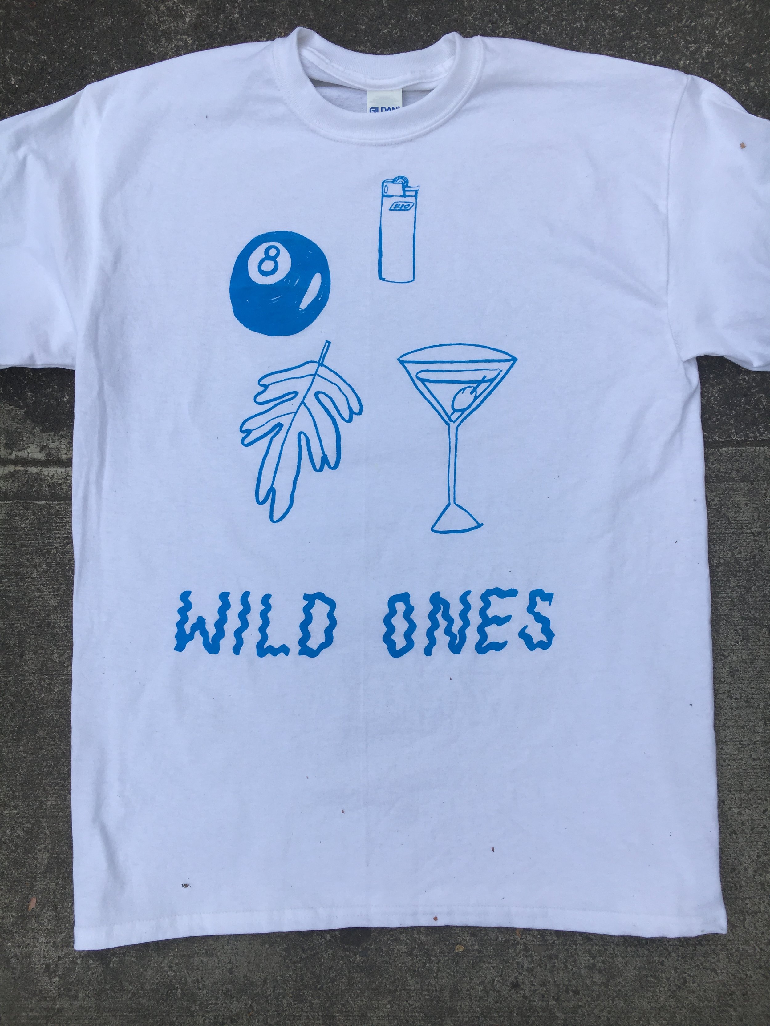  Custom mixed “matisse blue” print for Wild Ones from Portland, OR 
