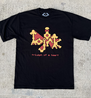 Bjork Tribute T — Studio AYC